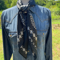 Paisley Wild Rags (Flint) | Black Silk Scarf