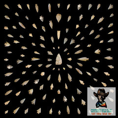 Western Wild Rags Arrowheads (Black) Silk Scarf